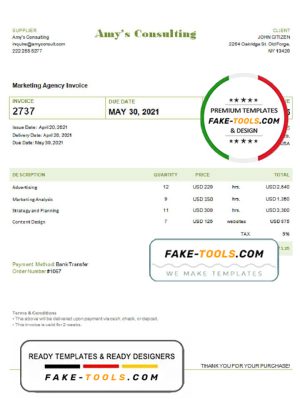 USA Amy’s Consulting invoice template in Word and PDF format, fully editable