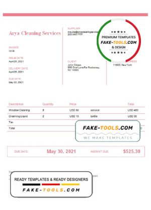 USA Arya Cleaning Services invoice template in Word and PDF format, fully editable
