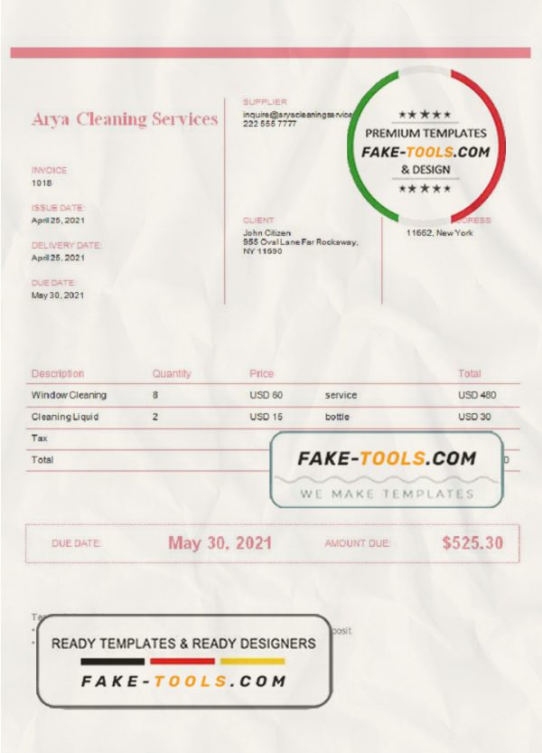 USA Arya Cleaning Services invoice template in Word and PDF format, fully editable scan effect