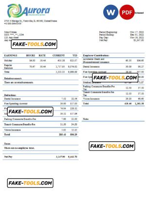 USA Aurora Specialty Textiles Group textile company pay stub Word and PDF template