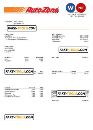 USA Auto Zone auto retailer company pay stub Word and PDF template