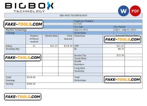 USA Big Box Technologies technology company pay stub Word and PDF template