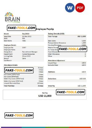 USA Brain Technology technology company pay stub Word and PDF template
