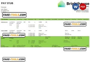 USA Brighthouse Financial financial company pay stub Word and PDF template