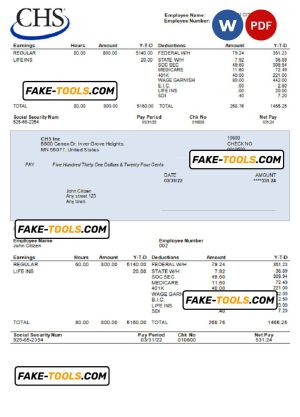 USA CHS Inc. agricultural company pay stub Word and PDF template