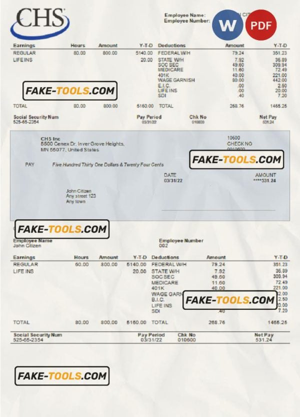 USA CHS Inc. agricultural company pay stub Word and PDF template