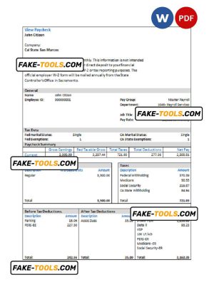 USA Cal State San Marcos payroll services company pay stub Word and PDF template