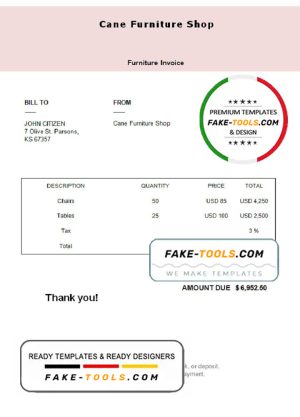 USA Cane Furniture Shop invoice template in Word and PDF format, fully editable
