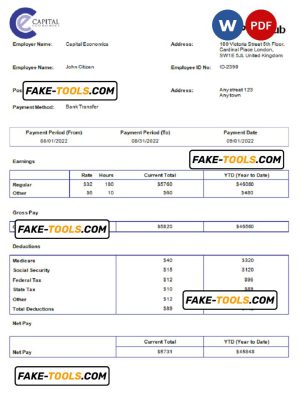 USA Capital Economics economic company pay stub Word and PDF template