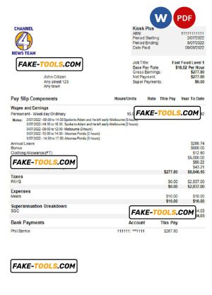 USA Channel News Team 4 media company pay stub Word and PDF template