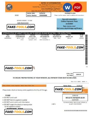 USA Chicago Notice of Determination pay stub Word and PDF template