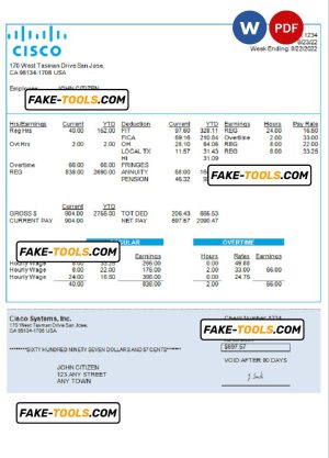 USA Cisco Systems, Inc. hardware company pay stub Word and PDF template