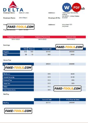 USA Delta Air Lines airlines company pay stub Word and PDF template