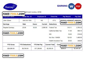 USA Diversey household goods company pay stub Word and PDF template