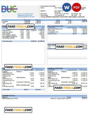 USA Dixon University Center educational company pay stub Word and PDF template
