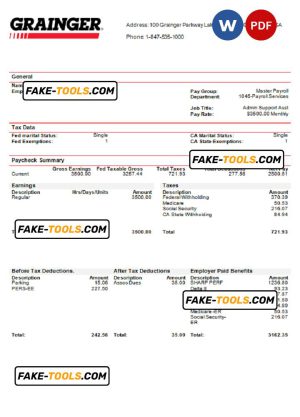 USA Grainger industry company pay stub Word and PDF template