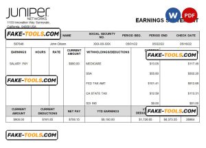 USA Juniper networking company pay stub Word and PDF template