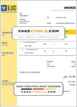 USA LIC invoice template in Word and PDF format, fully editable
