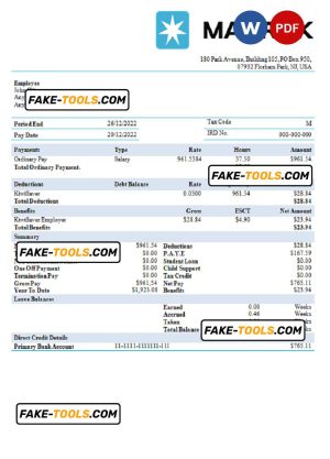 USA Maesk shipping company pay stub Word and PDF template