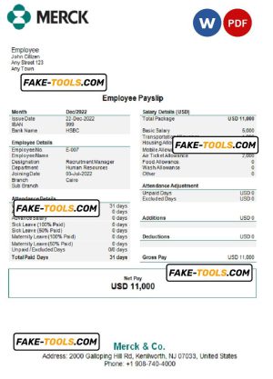 USA Merck & Co. pharmaceutical company pay stub Word and PDF template