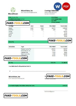 USA MicroVision informational company pay stub Word and PDF template