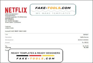 USA Netflix invoice template in Word and PDF format, fully editable