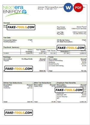 USA NextEra Energy electric company pay stub Word and PDF template