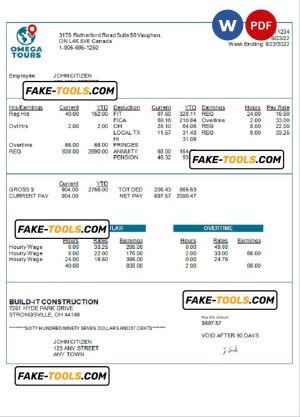 USA Omega Tours tourism company pay stub Word and PDF template