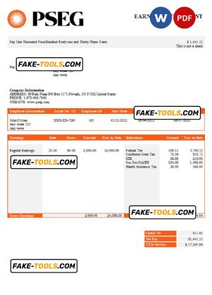 USA PSEG utilities company pay stub Word and PDF template