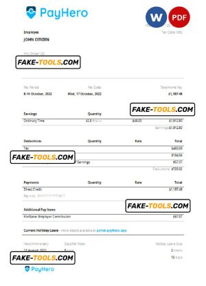 USA PayHero financial company pay stub Word and PDF template