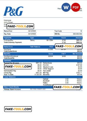 USA Procter & Gamble consumer products company pay stub Word and PDF template