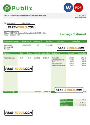 USA Publix Super Markets Inc. supermarket company pay stub Word and PDF template