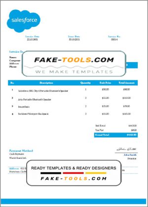 USA Salesforce invoice template in Word and PDF format, fully editable
