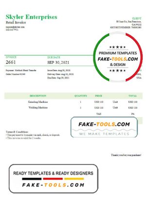 USA Skyler Enterprises invoice template in Word and PDF format, fully editable