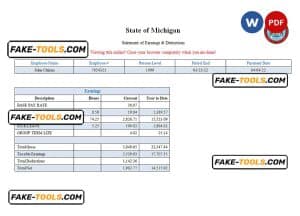 USA State of Michigan social services company pay stub Word and PDF template