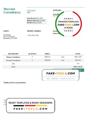 USA Sterneld Consultancy invoice template in Word and PDF format, fully editable