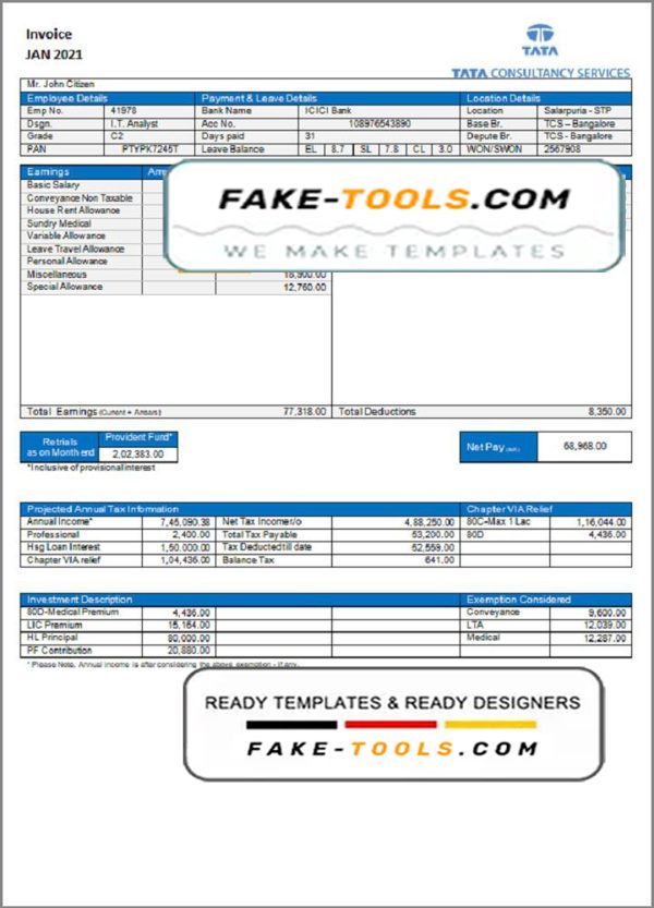USA Tata Consulting Services invoice template in Word and PDF format, fully editable