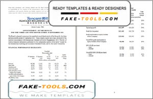 USA Tencent invoice template in Word and PDF format, fully editable