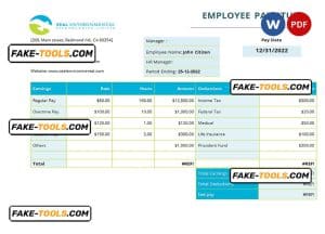 USA Texas commercial cleaning company earnings statement template in Word and PDF format