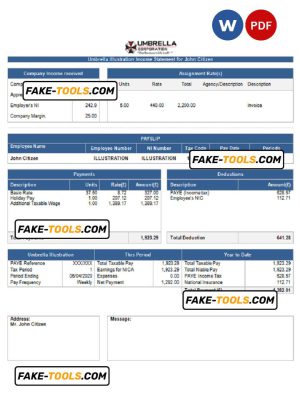 USA Umbrella pharmaceutical company pay stub Word and PDF template