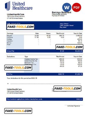 USA UnitedHealthCare managed care company pay stub Word and PDF template