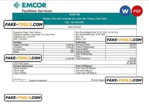 USA engineering company employee earning statement template in Word and PDF format