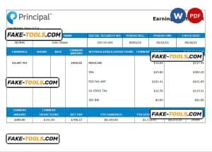 USA financial company earning statement template in Word and PDF format