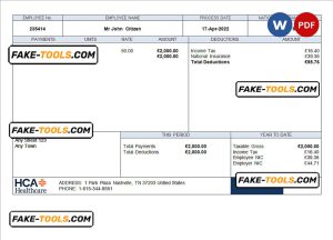 USA healthcare company employee sheet template in Word and PDF format