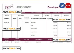 USA insurance company earning statement template in Word and PDF format