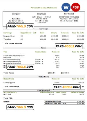 USA personal earning statement template in Word and PDF format
