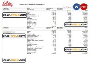 USA pharmaceutical company earnings statement template in Word and PDF format