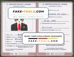 Burundi cat (animal, pet) passport PSD template, fully editable