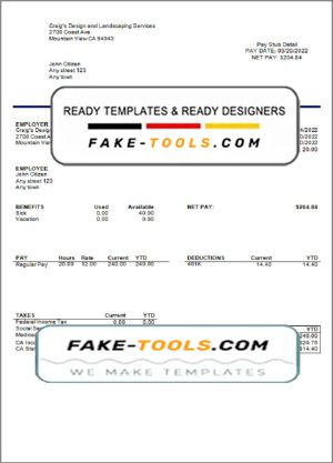 bright mind pay stub template in Word and PDF format