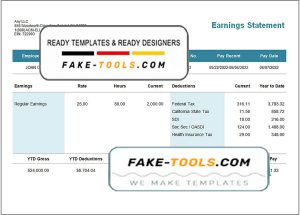 central mass pay stub template in Word and PDF format